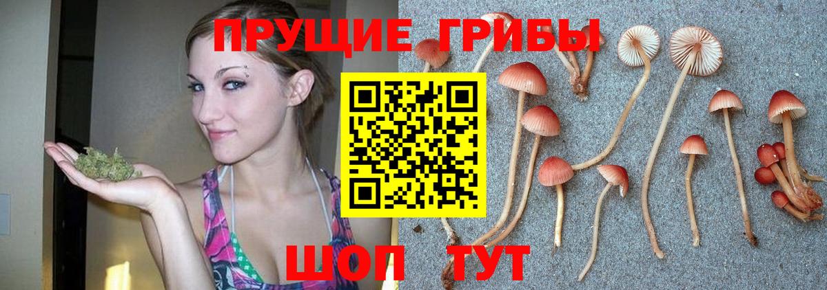 Галлюциногенные грибы Magic Shrooms  Галлюциногенные грибы Psilocybe  Вход с VPN  Саратов 